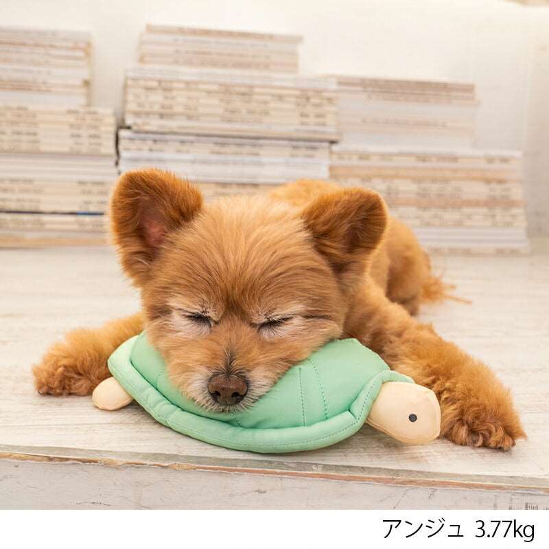 かめクールピロー F Solgra-ソルグラ- 犬用 アゴ置きまくら トイプードル チワワ ポメラニアン SO23SS so237231-1