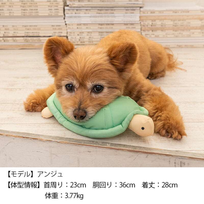 かめクールピロー F Solgra-ソルグラ- 犬用 アゴ置きまくら トイプードル チワワ ポメラニアン SO23SS so237231-1