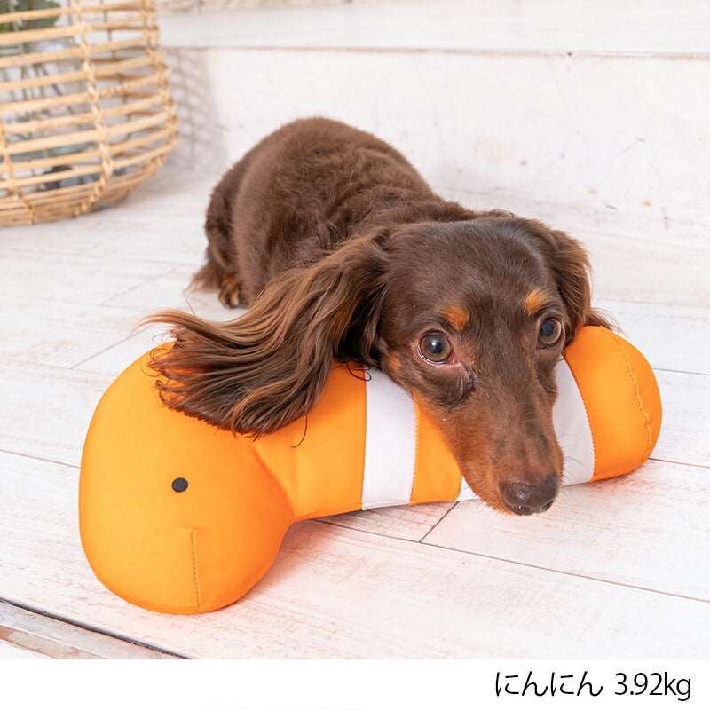 ちんあなごクールピロー F Solgra-ソルグラ- 犬用 アゴ置きまくら トイプードル チワワ ポメラニアン SO23SS so237232-1
