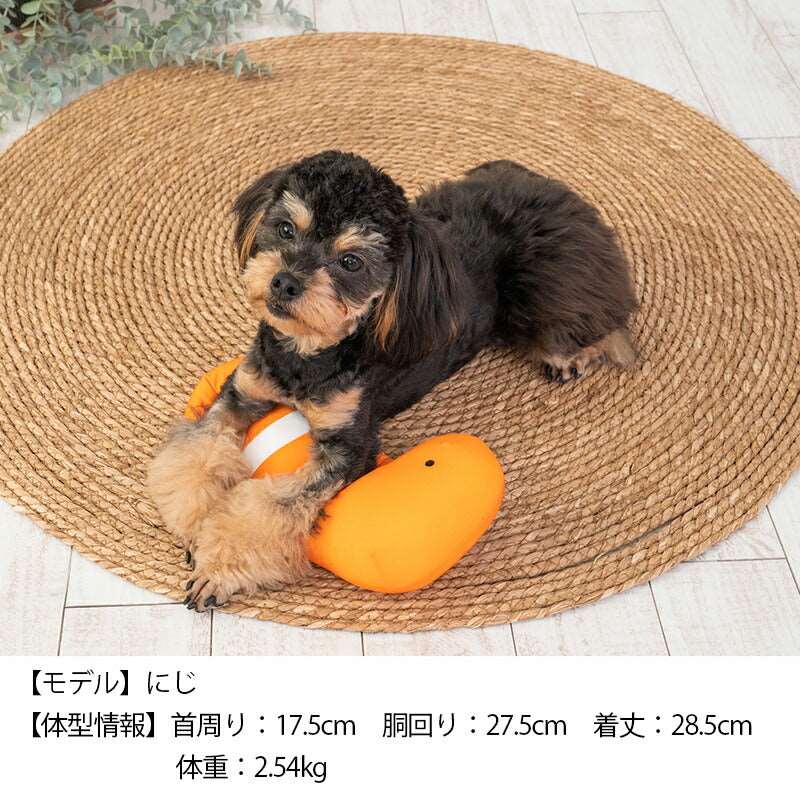 ちんあなごクールピロー F Solgra-ソルグラ- 犬用 アゴ置きまくら トイプードル チワワ ポメラニアン SO23SS so237232-1