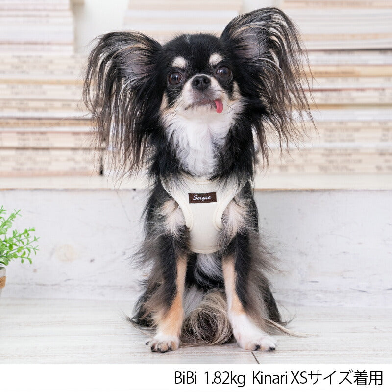 ナチュラルニットハーネス XS/S/M/L Solgra-ソルグラ- 小型犬用 中型犬用 ハーネス トイプードル チワワ ポメラニアン SO23SS so169237-1