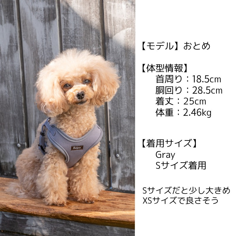 ナチュラルニットハーネス XS/S/M/L Solgra-ソルグラ- 小型犬用 中型犬用 ハーネス トイプードル チワワ ポメラニアン SO23SS so169237-1