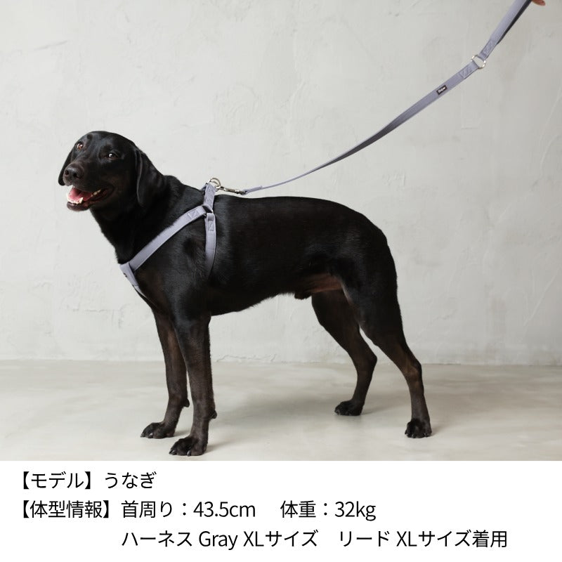 ナチュラルニットリード XL/XXL Solgra-ソルグラ- 大型犬用 リード トイプードル チワワ ポメラニアン SO23SS so169238-2