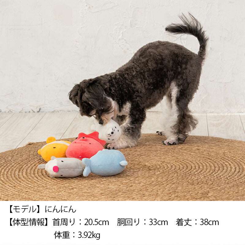 ころころアザラシ F Solgra TOY -ソルグラ トイ- 犬用おもちゃ ドッグトイ トイプードル チワワ ポメラニアン SO23SS so235251-1