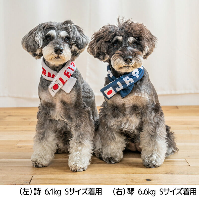 日本応援グッズ クールネック・帽子 Solgra -ソルグラ- 犬用 SO24SS so242373