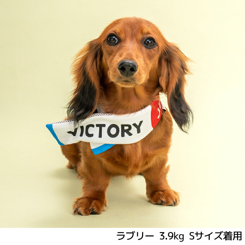 日本応援グッズ クールネック・帽子 Solgra -ソルグラ- 犬用 SO24SS so242373