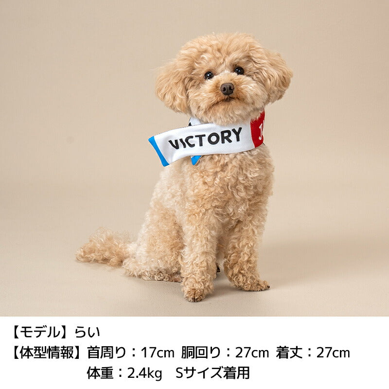 日本応援グッズ クールネック・帽子 Solgra -ソルグラ- 犬用 SO24SS so242373