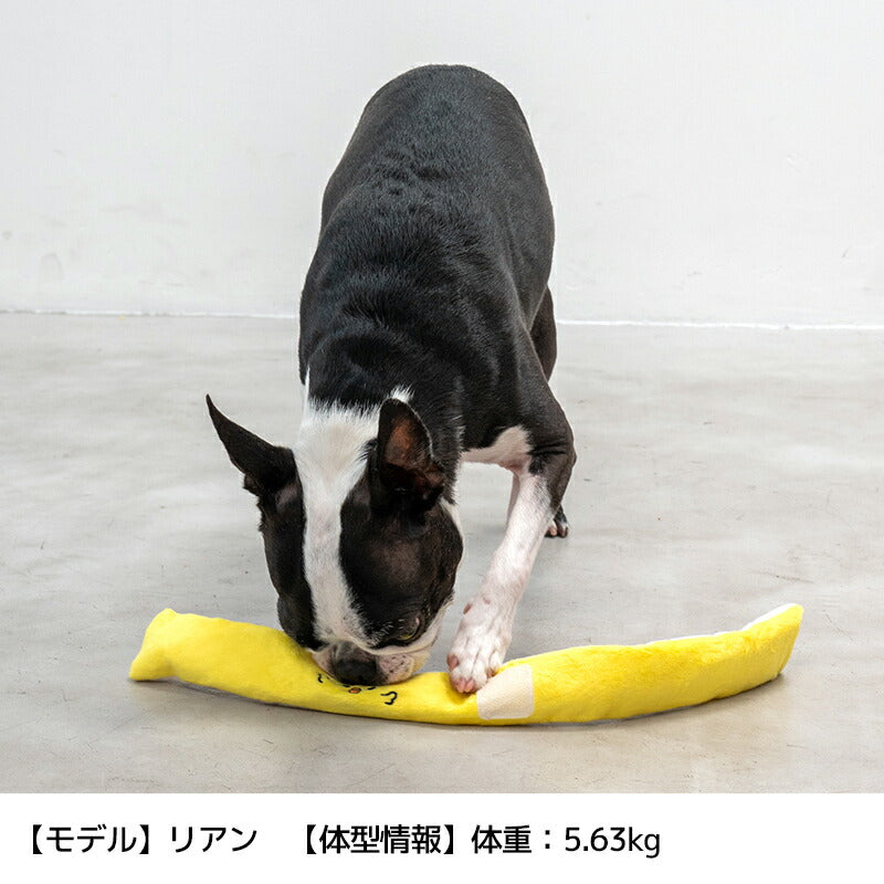 お弁当シリーズおもちゃ Free Solgra TOY -ソルグラ トイ- 犬用おもちゃ ドッグトイ SO24AW so245380
