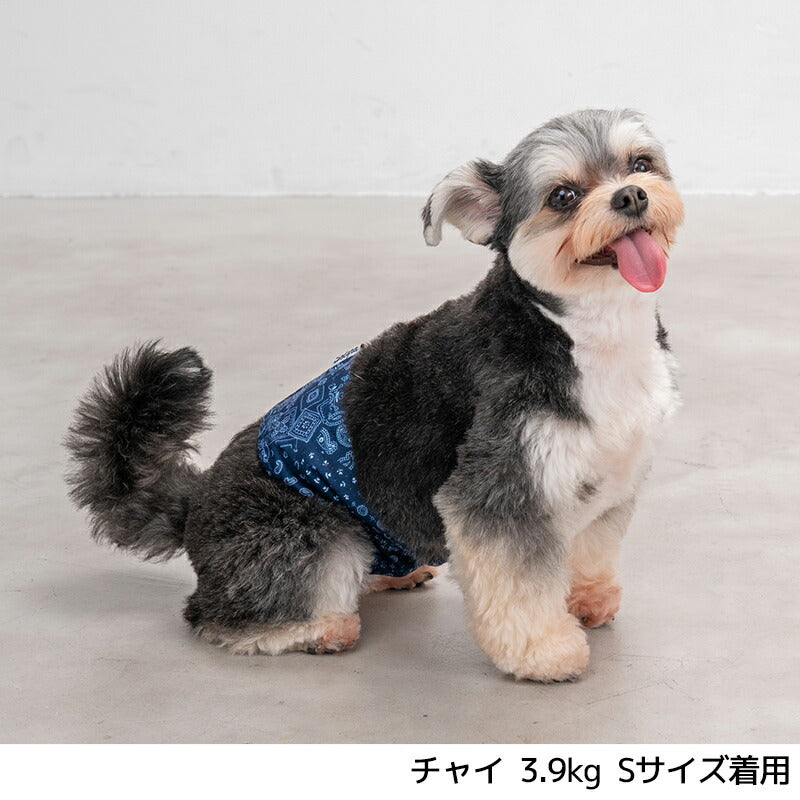 マナーベルト S/M/L/XL Solgra-ソルグラ- 犬用 SO24AW so246404