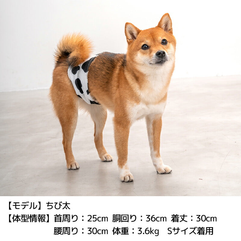 マナーベルト S/M/L/XL Solgra-ソルグラ- 犬用 SO24AW so246404
