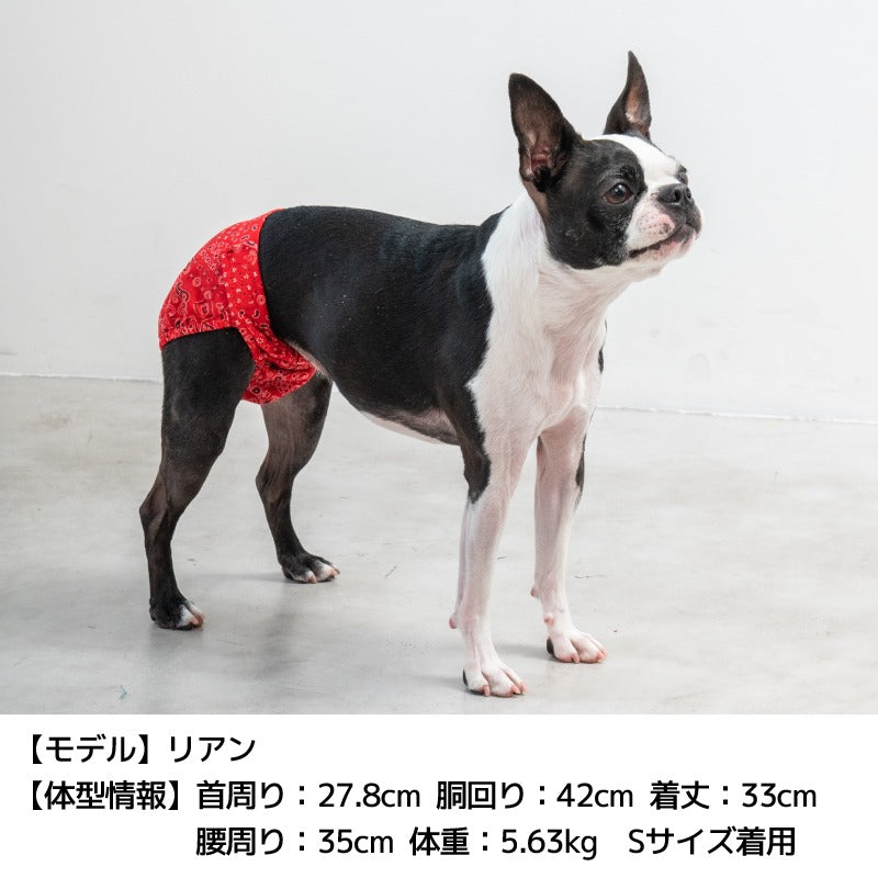 サニタリーパンツ S/M/L/XL Solgra-ソルグラ- 犬用マナーパンツ SO24AW so246408