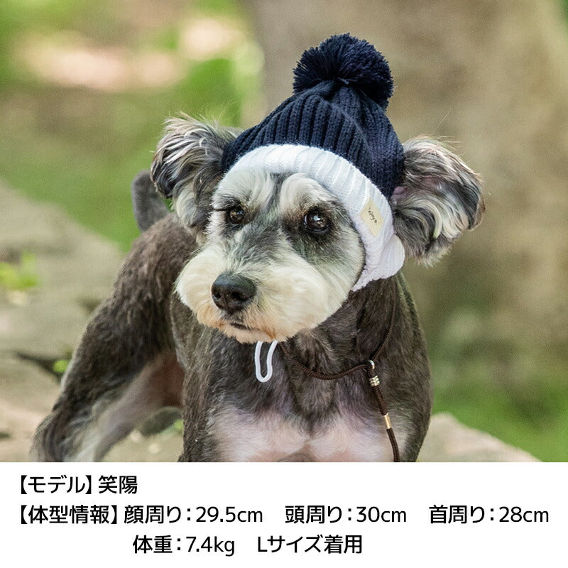 ビビットカラーニット帽 S/SM/M/L Solgra-ソルグラ- 犬用帽子 SO24AW so242421