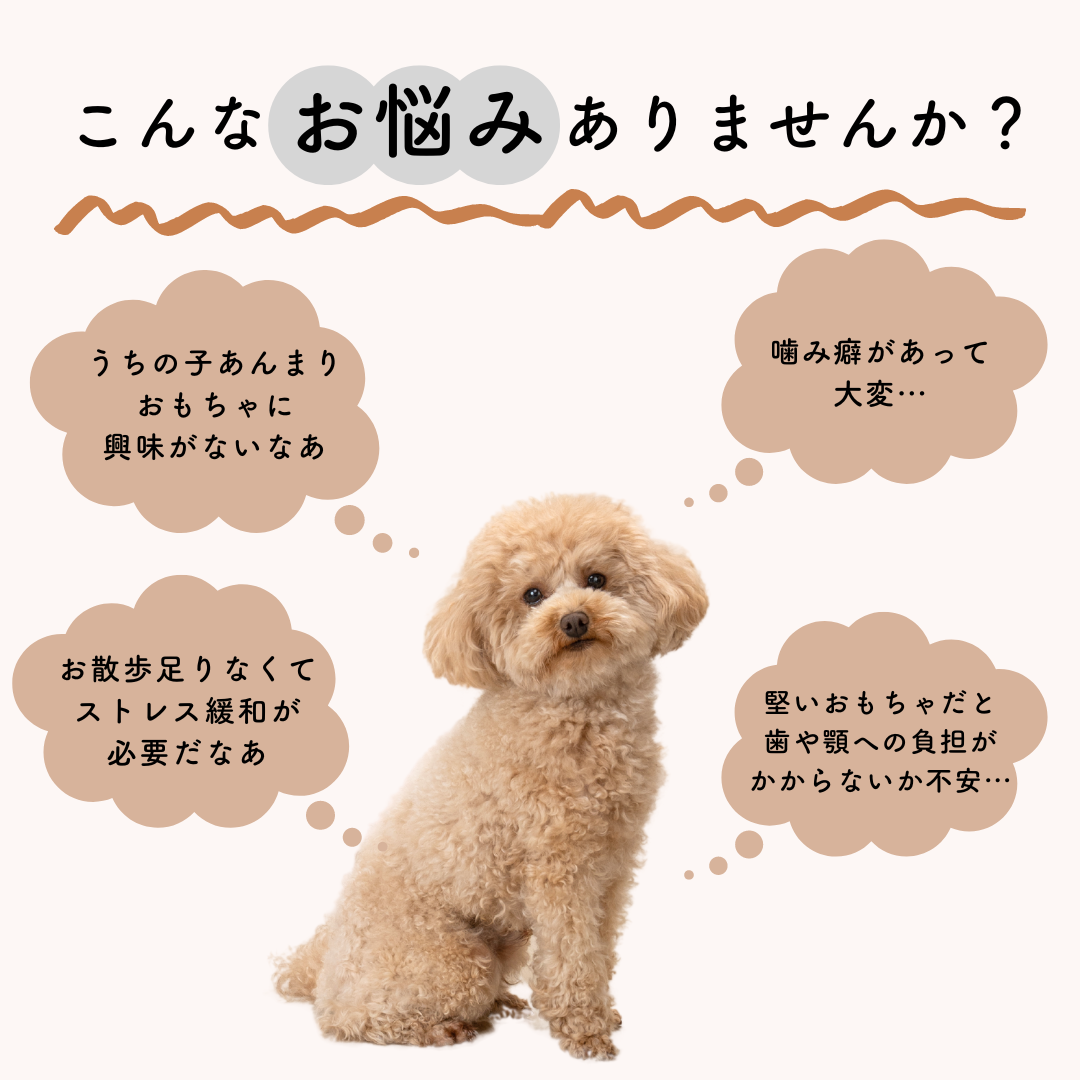 ボーンレザーTOY Free Solgra TOY -ソルグラ トイ- 犬用おもちゃ ドッグトイ SO24AW so245422