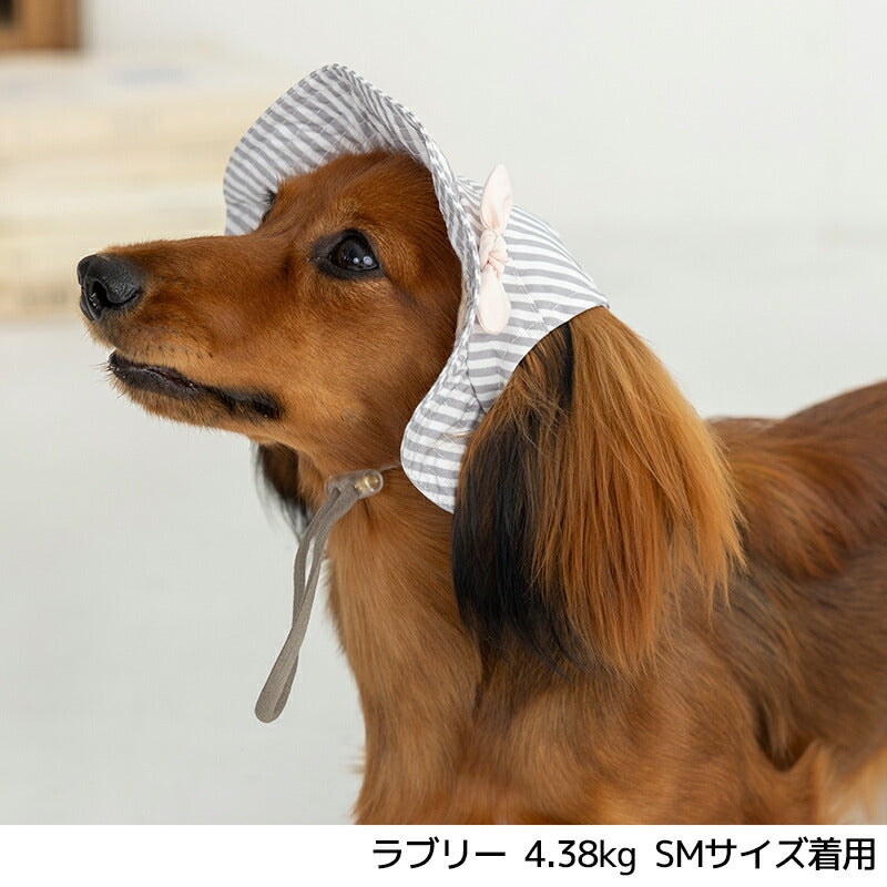 帽子 S/SM/M/L/XL Solgra-ソルグラ- 犬用帽子 SO25SS so252450