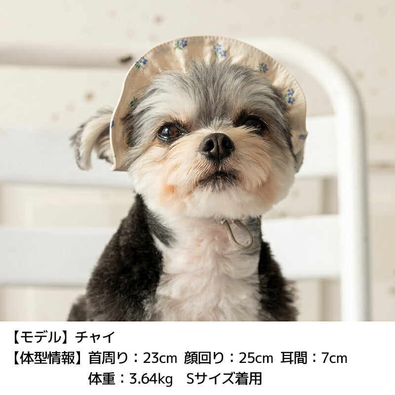 帽子 S/SM/M/L/XL Solgra-ソルグラ- 犬用帽子 SO25SS so252450