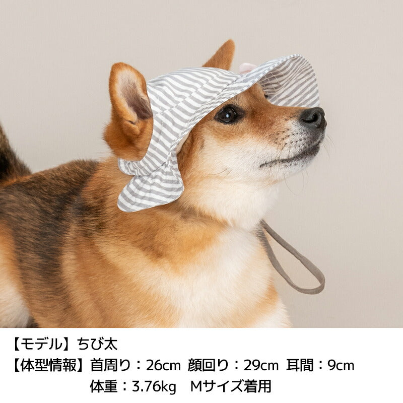 帽子 S/SM/M/L/XL Solgra-ソルグラ- 犬用帽子 SO25SS so252450