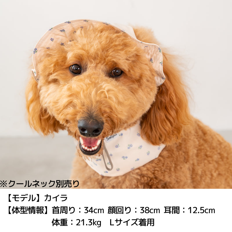 帽子 S/SM/M/L/XL Solgra-ソルグラ- 犬用帽子 SO25SS so252450