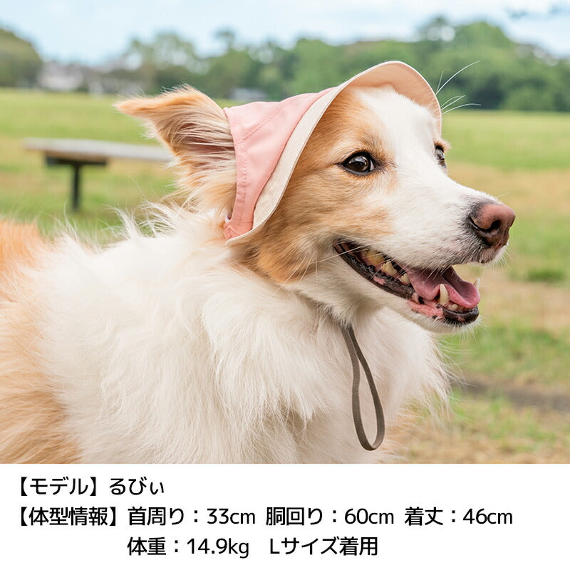 刺しゅう帽子 S/SM/M/L/XL Solgra-ソルグラ- 犬用帽子 SO25SS so252452