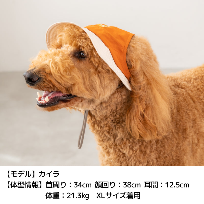 刺しゅう帽子 S/SM/M/L/XL Solgra-ソルグラ- 犬用帽子 SO25SS so252452