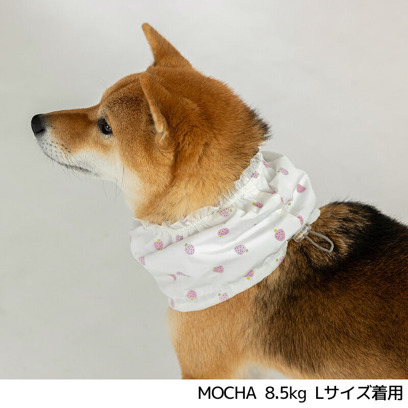 フリルクールネック S/M/L Solgra-ソルグラ- 犬用 SO25SS so252457