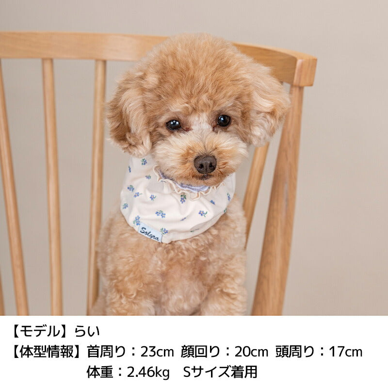 フリルクールネック S/M/L Solgra-ソルグラ- 犬用 SO25SS so252457