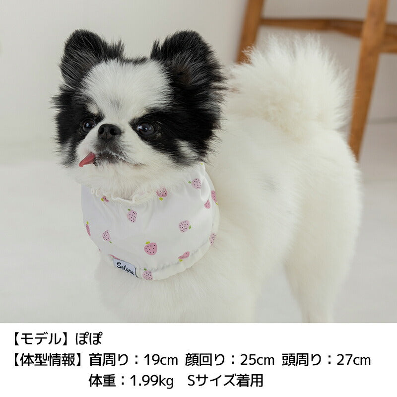 フリルクールネック S/M/L Solgra-ソルグラ- 犬用 SO25SS so252457