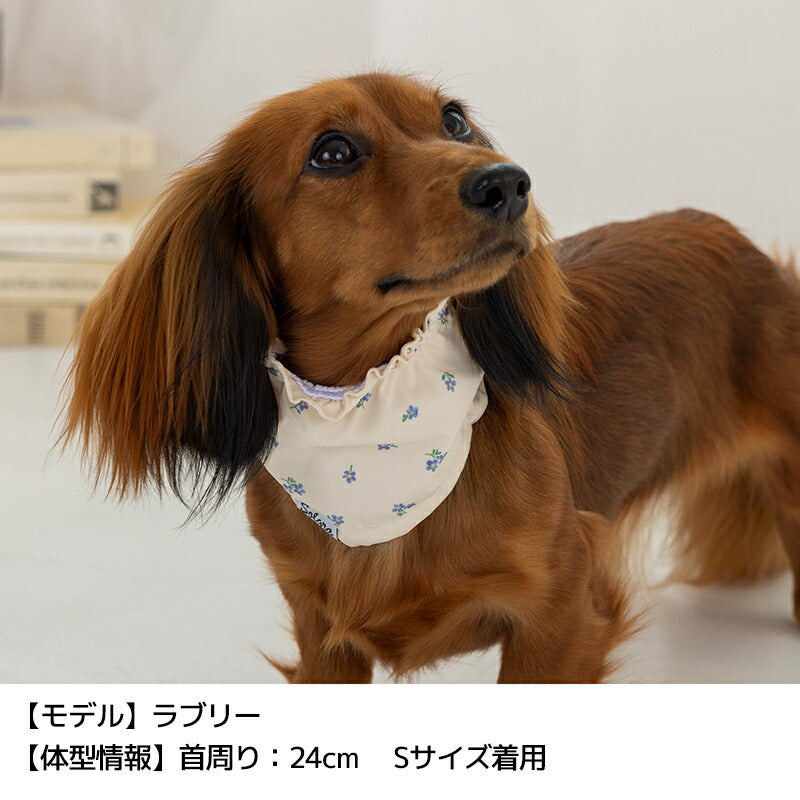 フリルクールネック S/M/L Solgra-ソルグラ- 犬用 SO25SS so252457