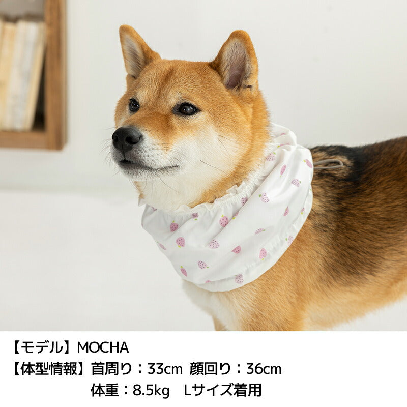 フリルクールネック S/M/L Solgra-ソルグラ- 犬用 SO25SS so252457