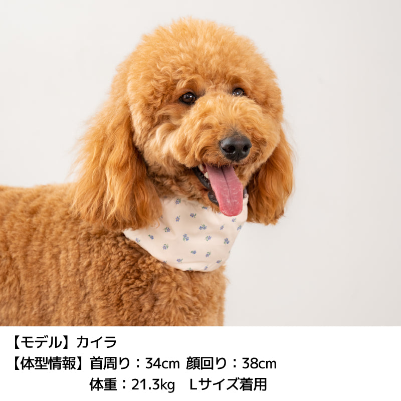 フリルクールネック S/M/L Solgra-ソルグラ- 犬用 SO25SS so252457