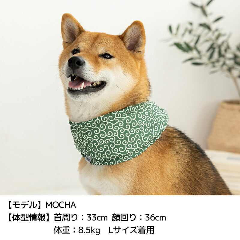 クールネック S/M/L Solgra-ソルグラ- 犬用 SO25SS so252459