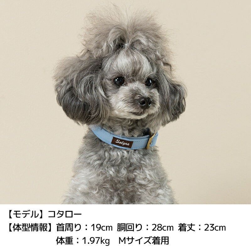 ナチュラルキャンバスカラー XS/S/M/L Solgra-ソルグラ- 犬用首輪 SO25SS so259471