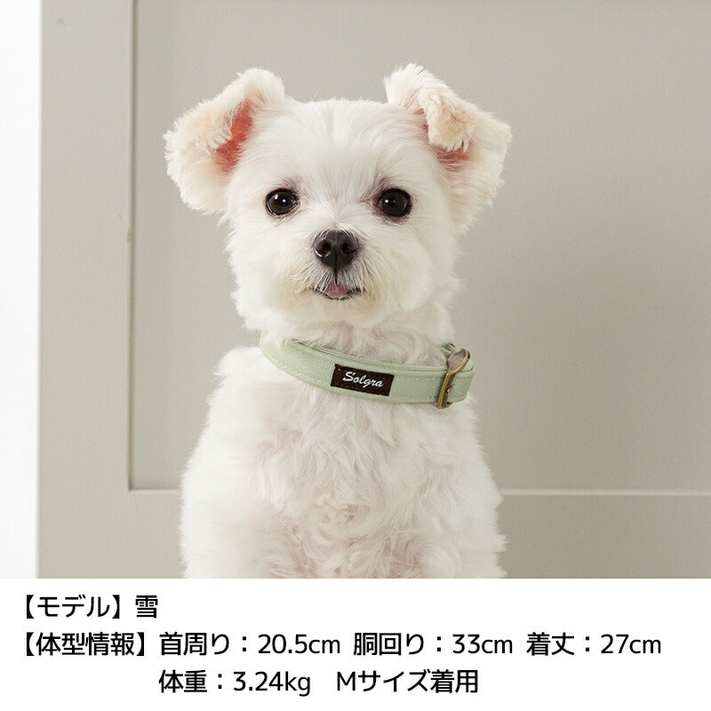 ナチュラルキャンバスカラー XS/S/M/L Solgra-ソルグラ- 犬用首輪 SO25SS so259471