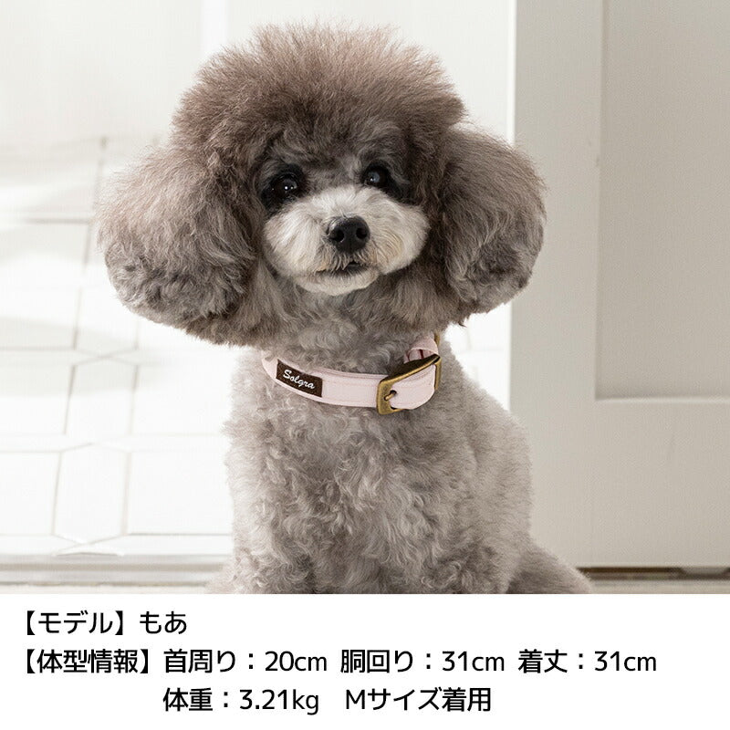 ナチュラルキャンバスカラー XS/S/M/L Solgra-ソルグラ- 犬用首輪 SO25SS so259471