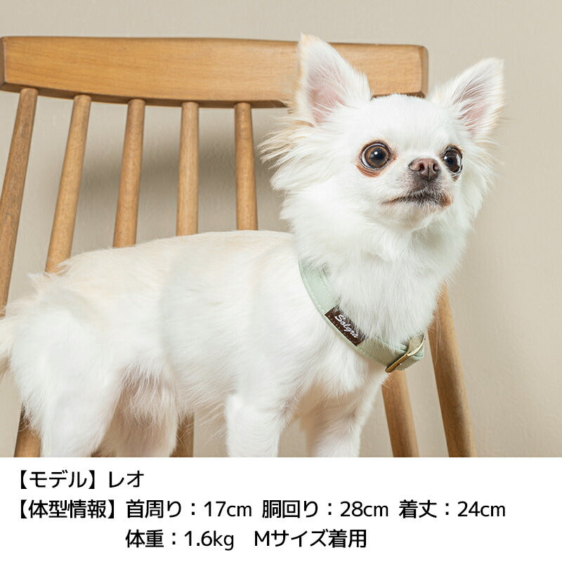 ナチュラルキャンバスカラー XS/S/M/L Solgra-ソルグラ- 犬用首輪 SO25SS so259471