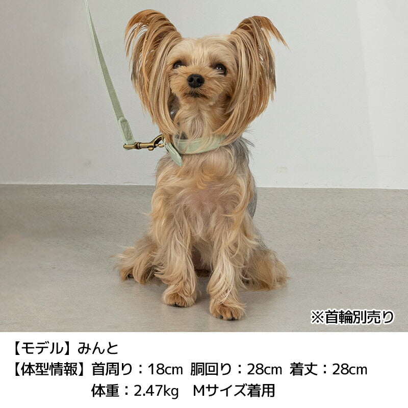 ナチュラルキャンバスリード S/M/L Solgra-ソルグラ- 犬用リード SO25SS so259473