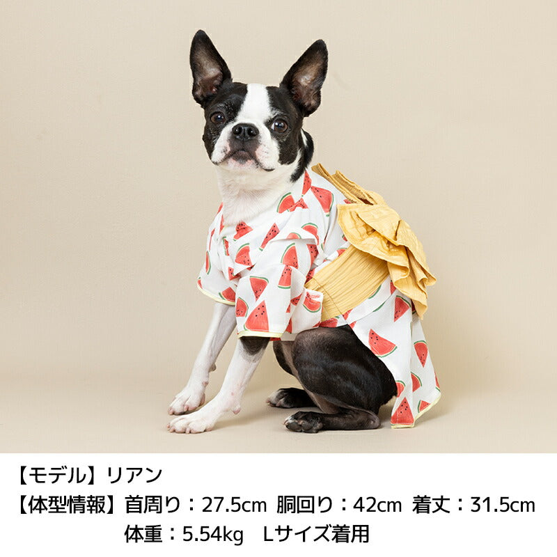 浴衣 XS/S/M/L/XL/XXL Solgra-ソルグラ- 犬用 SO25SS so251480