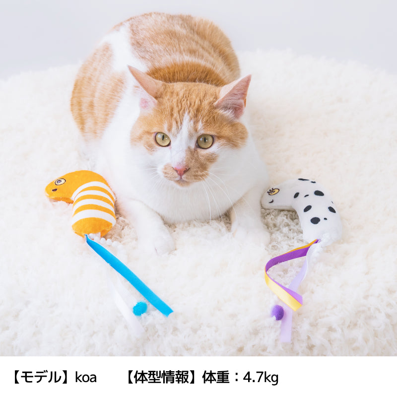 ひらひら猫おもちゃ F Solgra TOY -ソルグラ トイ- 猫用おもちゃ ドッグトイ SO25SS so255490