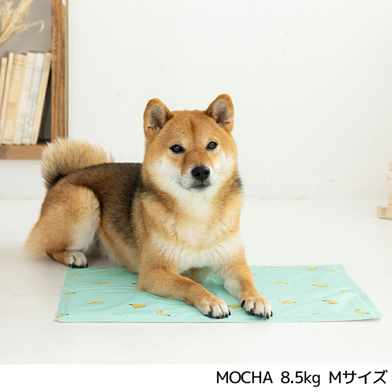クールジェルマット S/M Solgra-ソルグラ- 犬用ベッド・マット SO25SS so257502