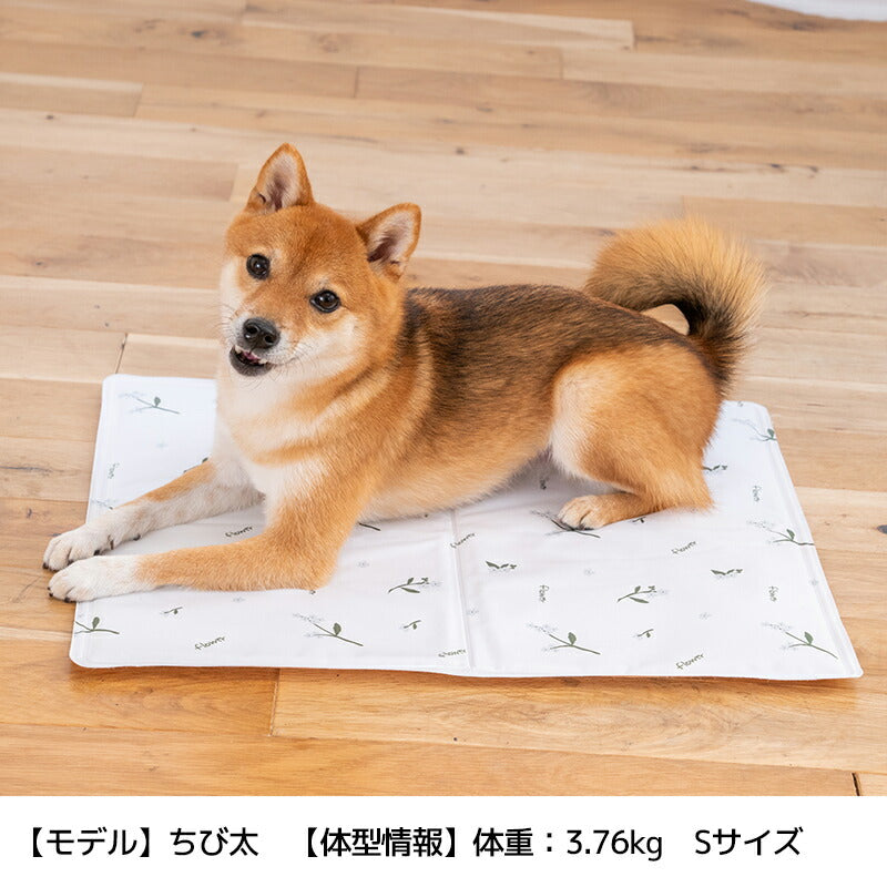 クールジェルマット S/M Solgra-ソルグラ- 犬用ベッド・マット SO25SS so257502