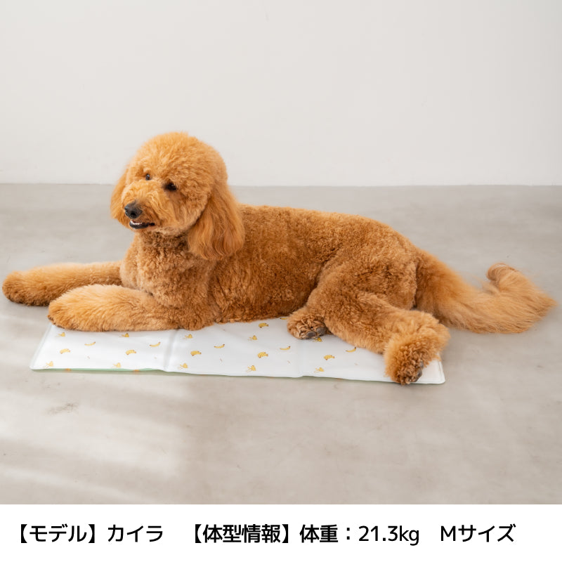 クールジェルマット S/M Solgra-ソルグラ- 犬用ベッド・マット SO25SS so257502