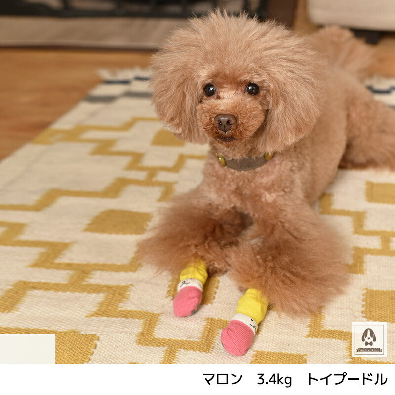 滑り止め付きソックス S/M/L/XL Solgra-ソルグラ- 4個セット 犬用 ペット用 靴下 滑り止め トイプードル チワワ ポメラニアン SO21AW so155051-1