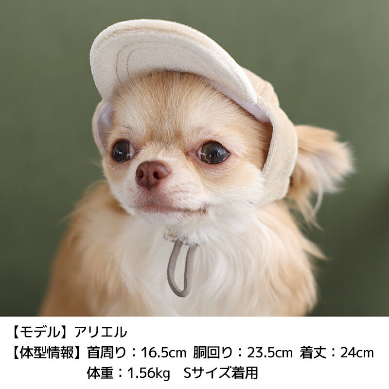 ベロアキャップ S/SM/M/L/XL Solgra-ソルグラ- 犬用 帽子 SO25AW so252531