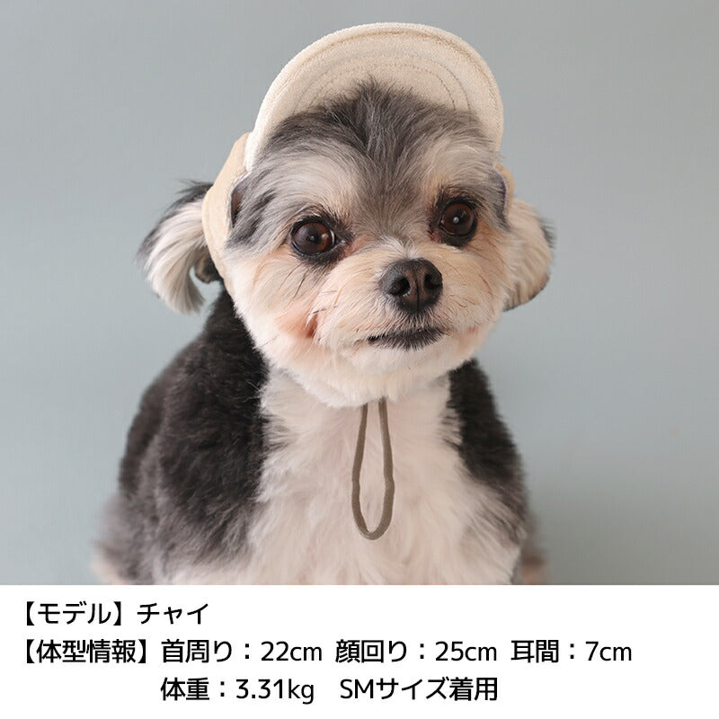 ベロアキャップ S/SM/M/L/XL Solgra-ソルグラ- 犬用 帽子 SO25AW so252531