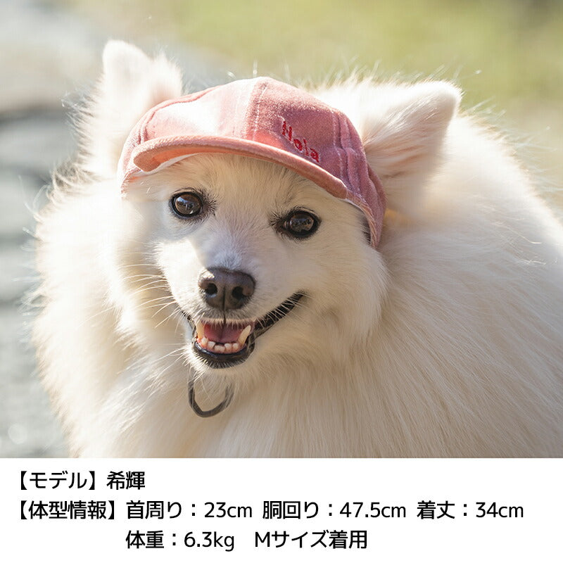 ベロアキャップ S/SM/M/L/XL Solgra-ソルグラ- 犬用 帽子 SO25AW so252531