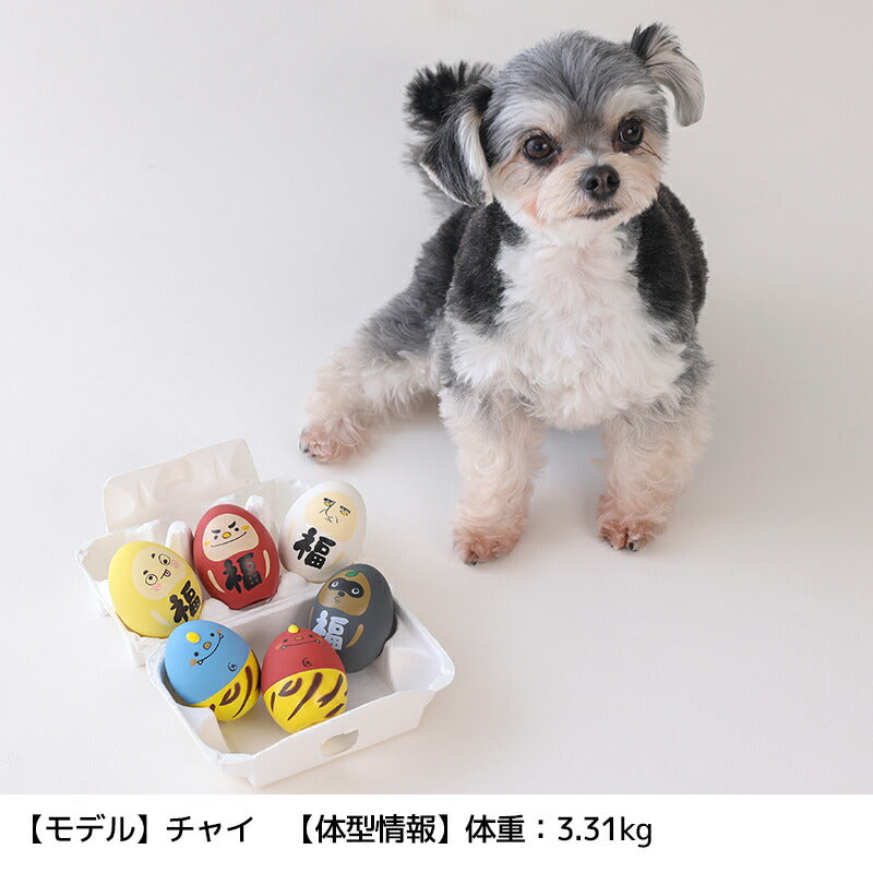 たまごおもちゃ Free Solgra-ソルグラ- 犬用 おもちゃ SO25AW so255531
