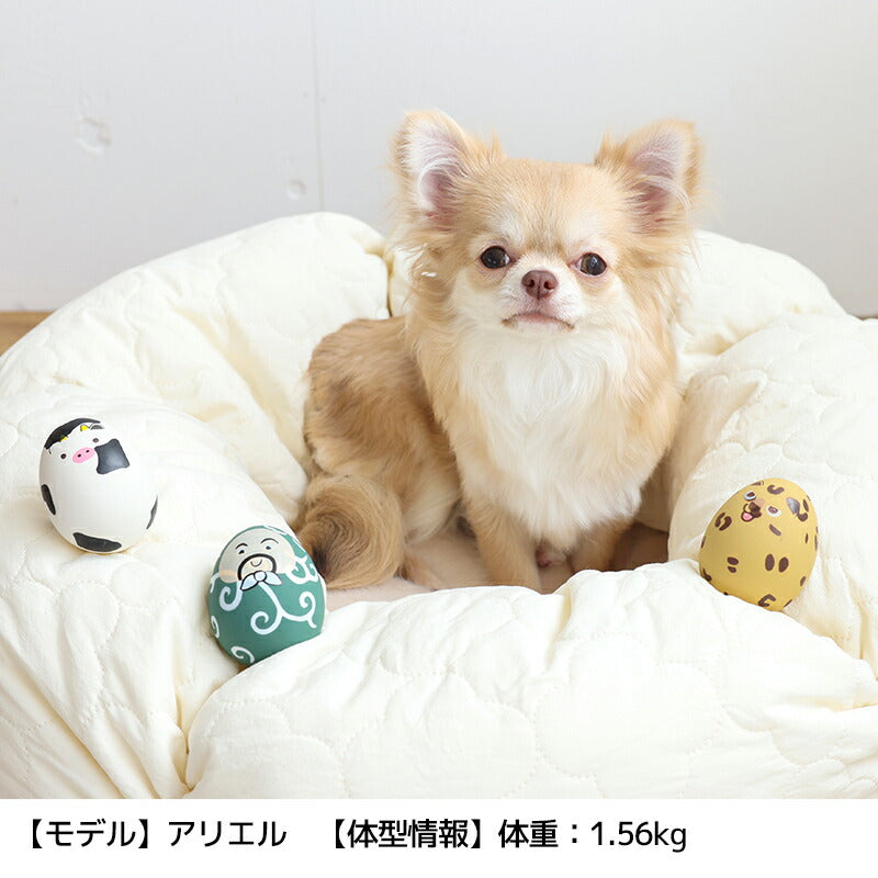 たまごおもちゃ Free Solgra-ソルグラ- 犬用 おもちゃ SO25AW so255531