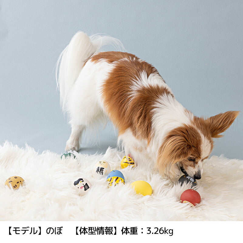 たまごおもちゃ Free Solgra-ソルグラ- 犬用 おもちゃ SO25AW so255531