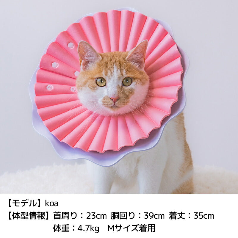パステルペリーブカラー S/M/L Solgra-ソルグラ- 犬用 SO25AW so253546