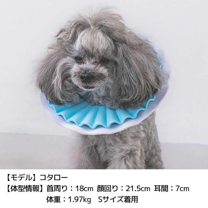 パステルペリーブカラー S/M/L Solgra-ソルグラ- 犬用 SO25AW so253546