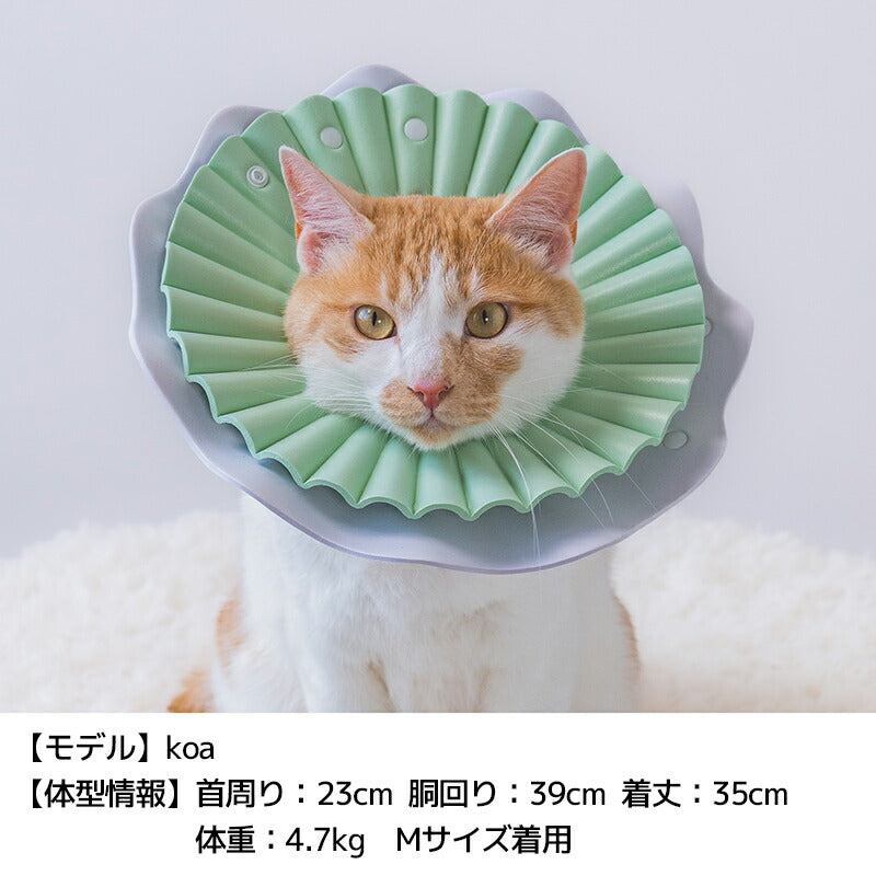 パステルペリーブカラー S/M/L Solgra-ソルグラ- 犬用 SO25AW so253546